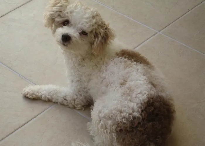 Szálloda Hadrian Kaş